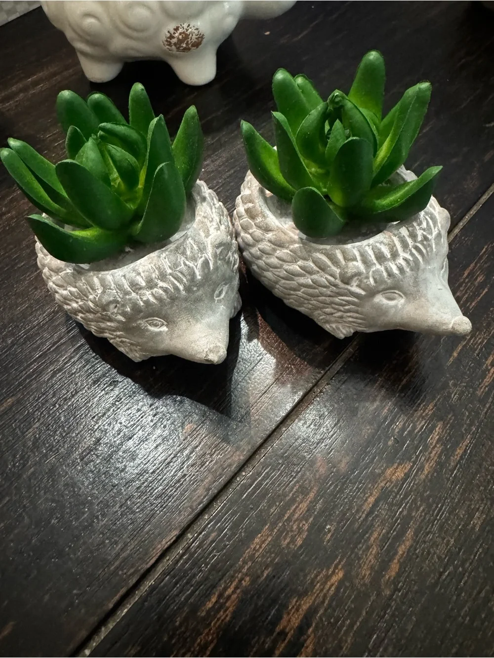 Bundle of 2 Small Decorative Hedgehog Shaped Cement faux Succulent planters
